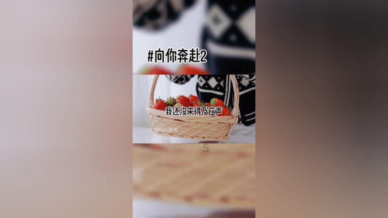 不负韶华,湖南机电职院郑锦华获国家奖学金
