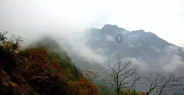 指挥官营救