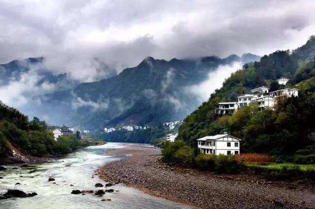 虫虫助手下载