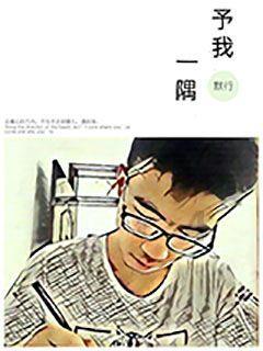 古墓丽影暗影