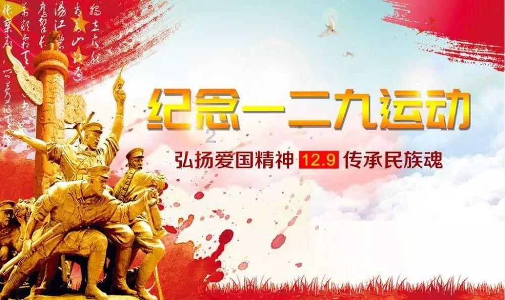 发现无限乐趣!探索冒险王神兵传奇无敌版中有几个宠物 - 冒险王神兵传奇无敌版中有几个宠物红迪网平台