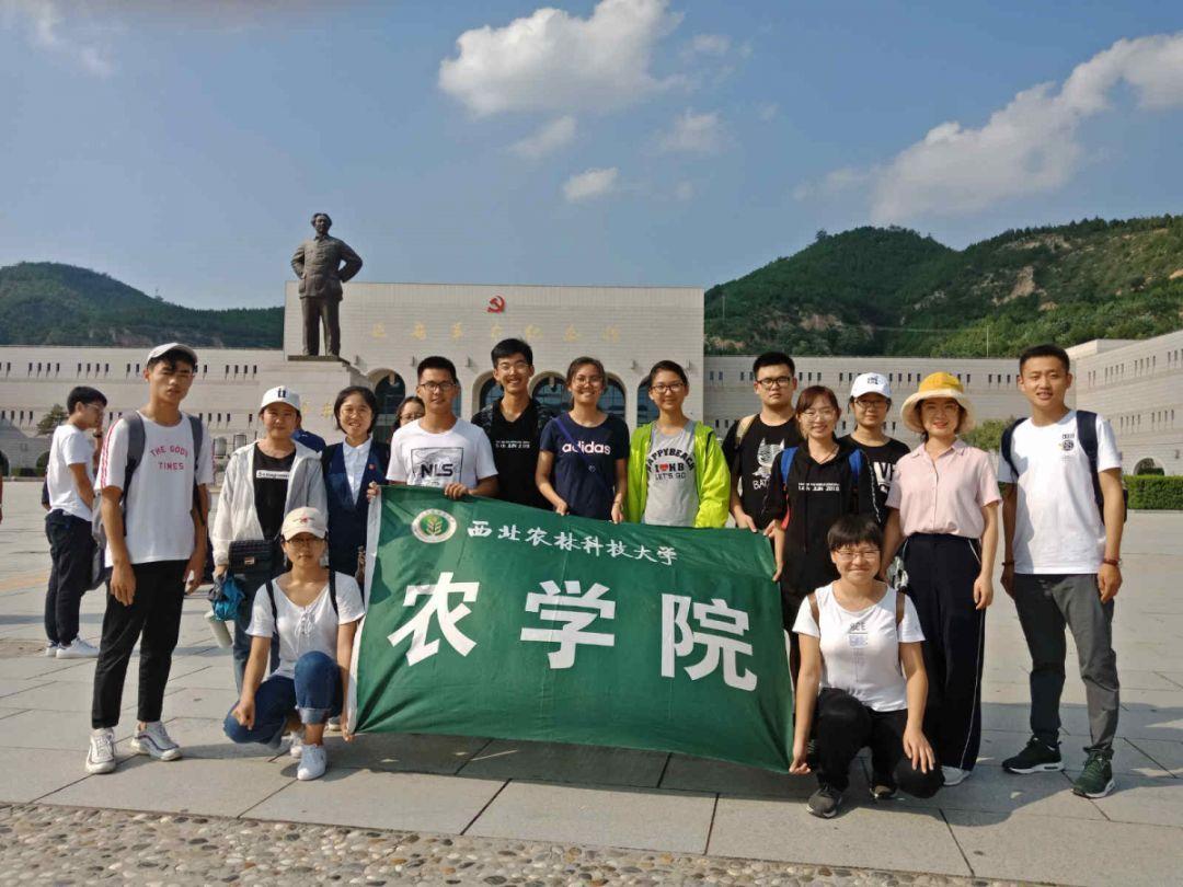 秘境对决